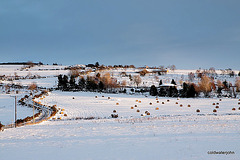 The fields near Blervie Castle