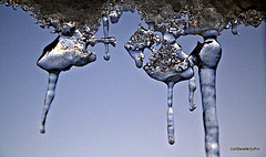 Icicles like melted metal against the sky at dusk...