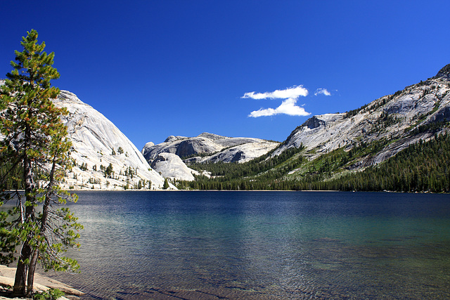 Tenaya Lake