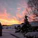 Boxing Day Dawns 5292849616 o