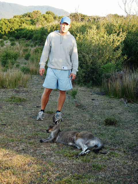 Jocke and the roo