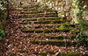 mossy steps at Killerton