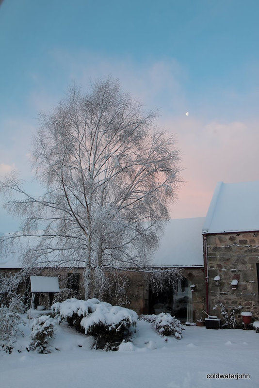 Moon still high at dawn