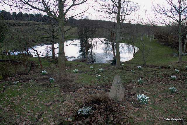 Green grass at last, and snowdrops