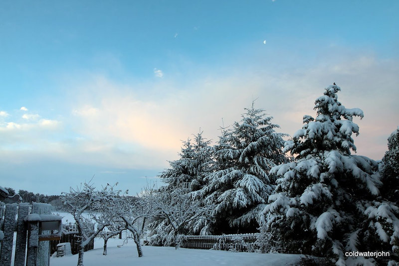 The Orchard at sunrise, with the moon still high in the sky