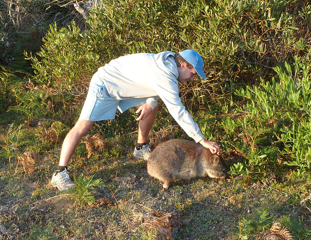 Jocke and the wombat