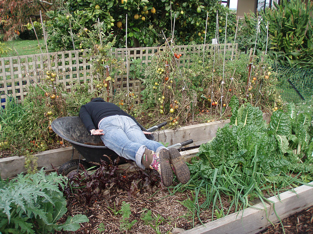 farmyard planking