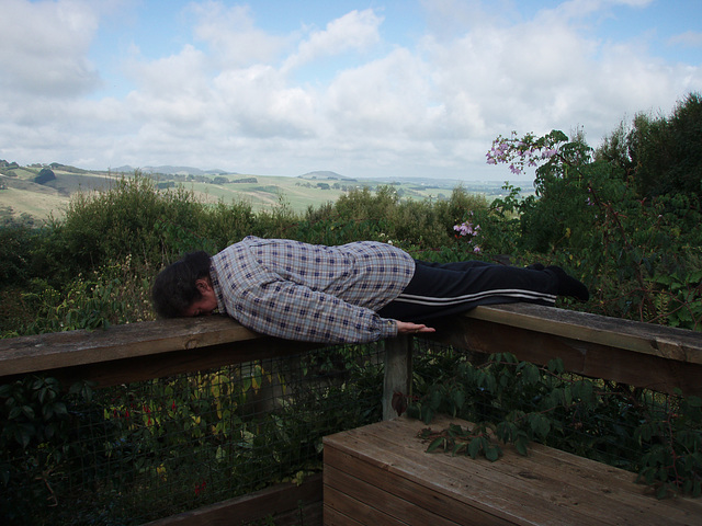 planking in Fish Creek