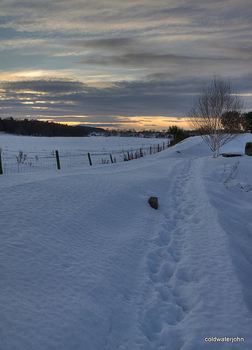 View over the fields