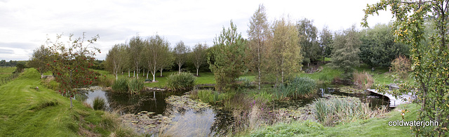 September colours by the pond