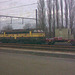 Belgian locomotive 5306