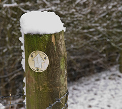 Snowy footpath sign