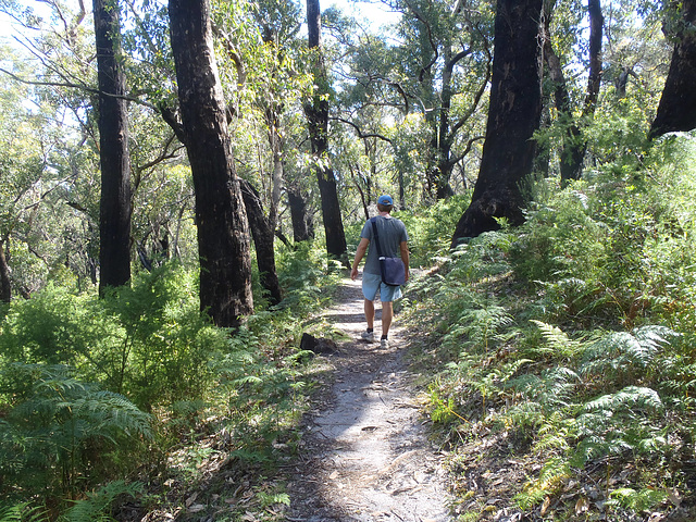 walking to Sparke Lookout