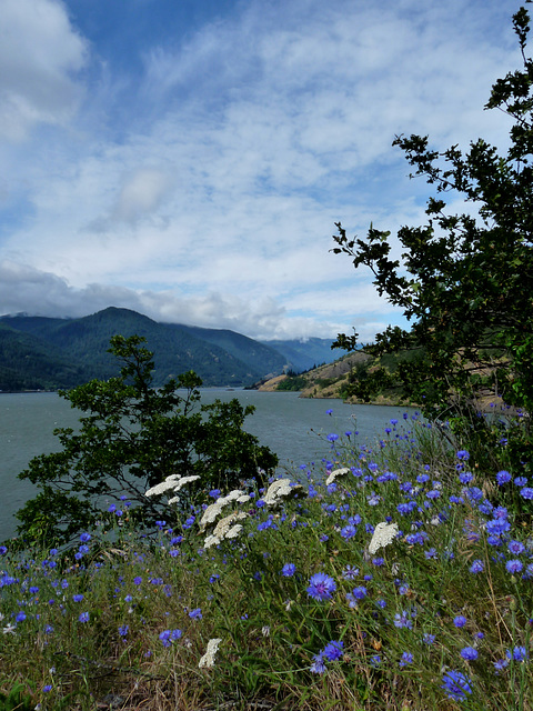 Columbia River Gorge near Bingen