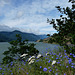 Columbia River Gorge near Bingen