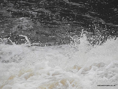 Aysgarth Falls