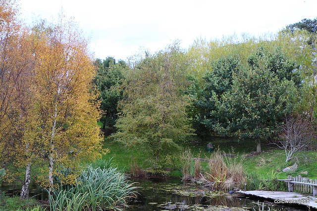 Autumn in the Pond Garden series 5118070812 o