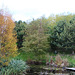 Autumn in the Pond Garden series 5118070812 o