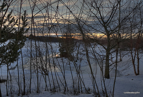 Pond through the Willow shelter