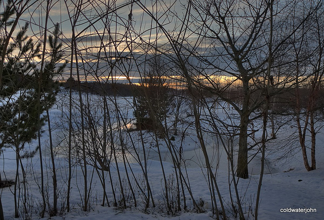 Pond through the Willow shelter