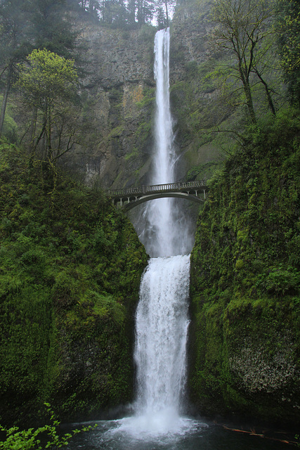 Multnomah Falls