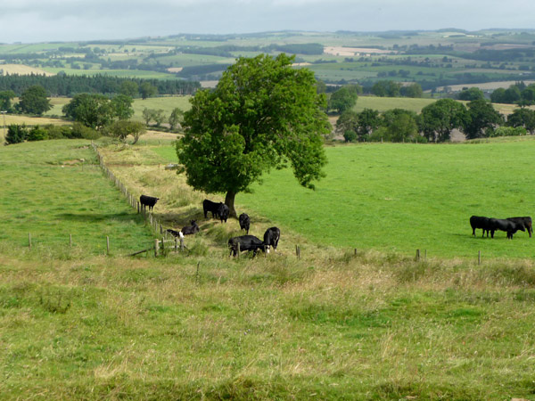 Looking over to the Lake District