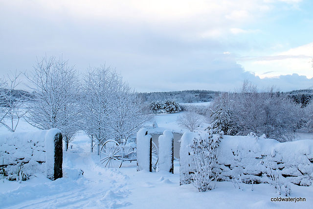 Early morning walk around the gardensnowplough track already almost obliterated 5211848730 o