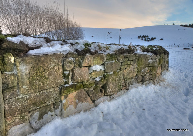 The drystane dyke in snow