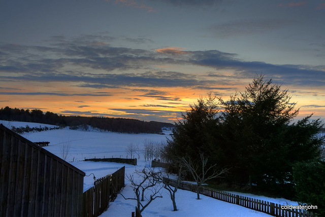 Sunset over the orchard