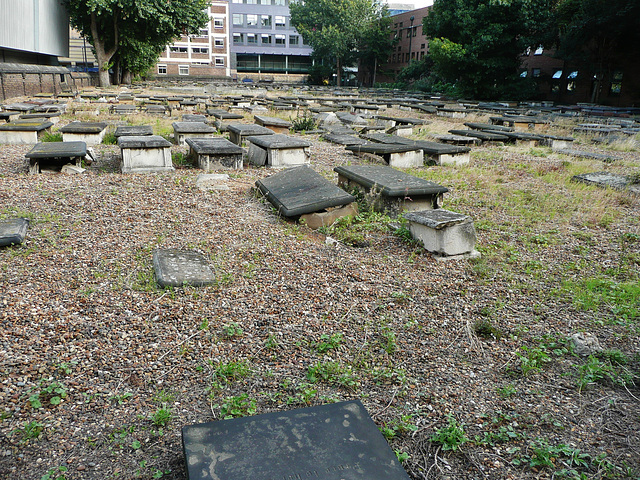 novo sephardic cemetery, mile end, london