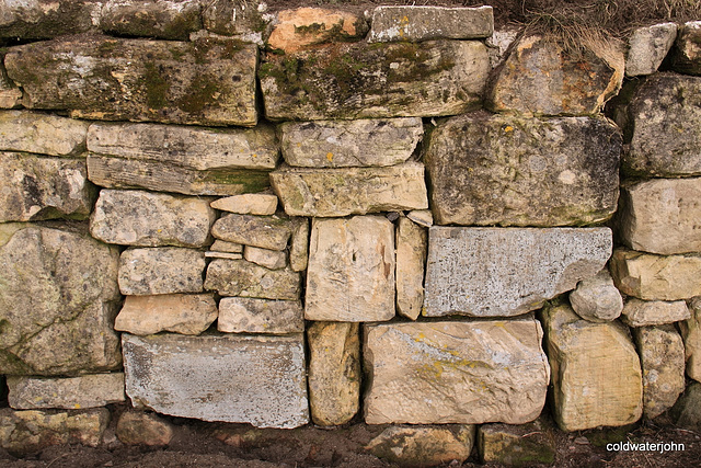 Drystone Dyke with algae ~002