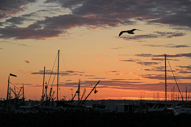 Sunset, Bellingham Harbor