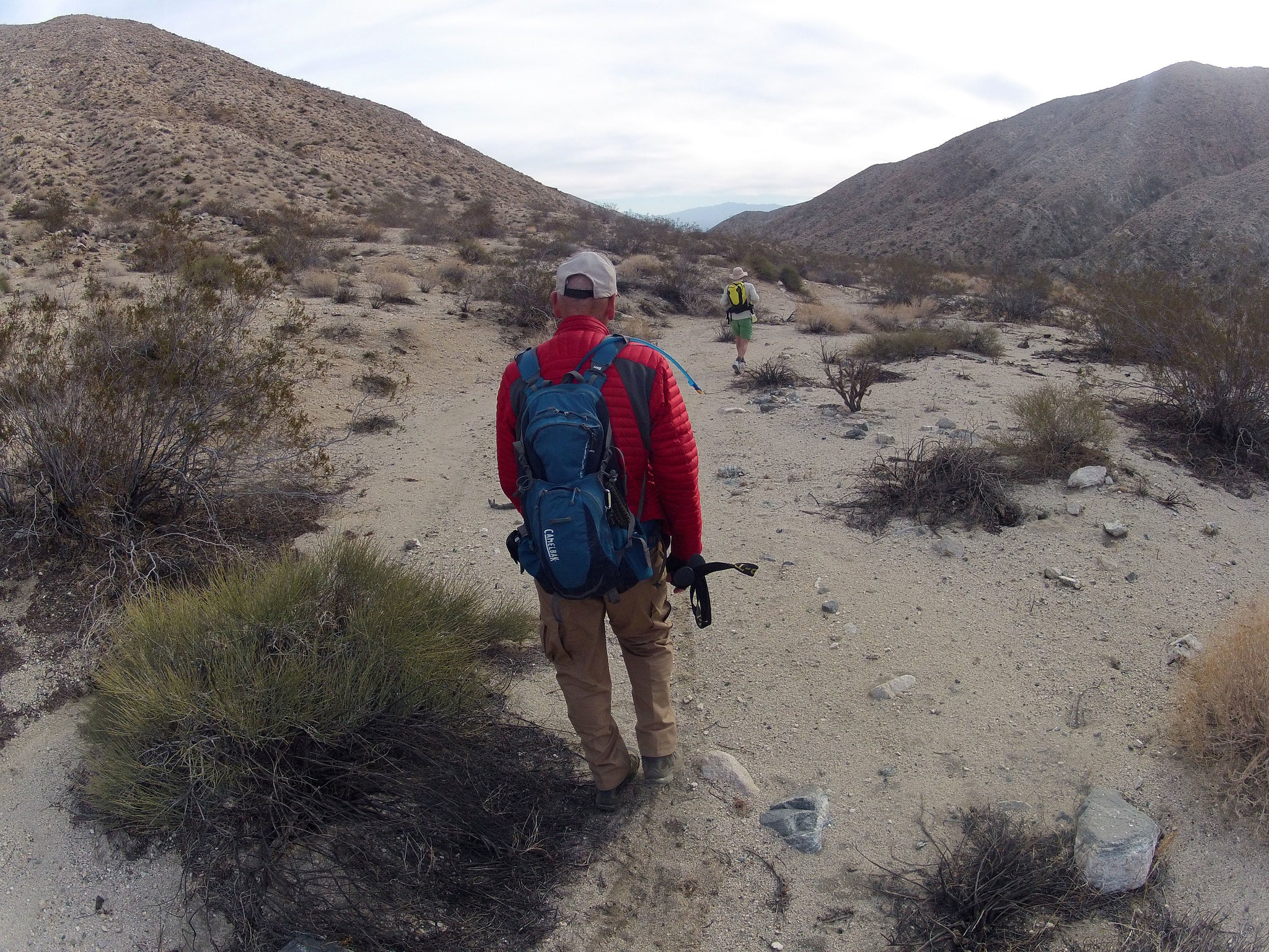 Long Canyon (41338)
