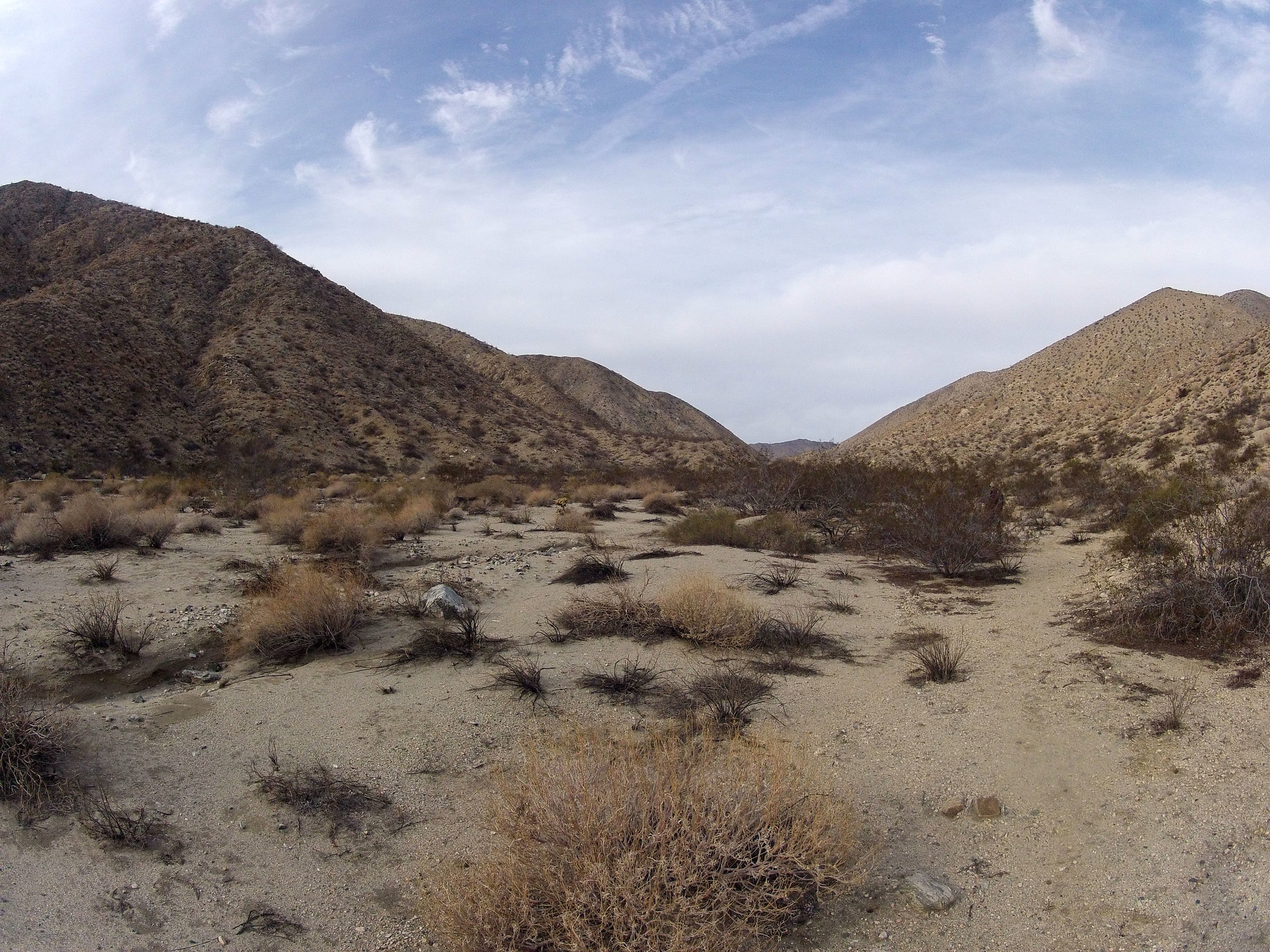 Long Canyon (41347)