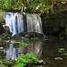 Whatcom Falls