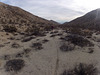 Long Canyon (41368)