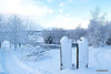 Early morning walk around the garden 5211849242 o