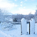 Early morning walk around the garden 5211849242 o