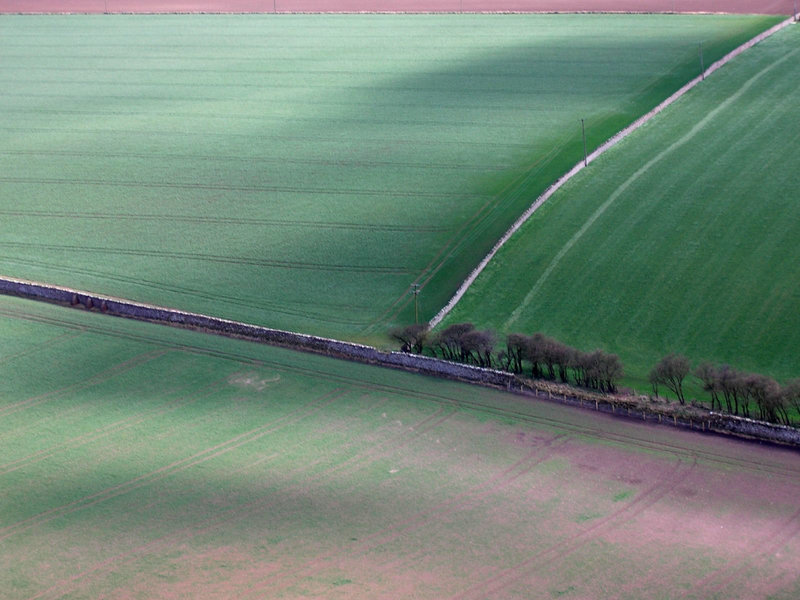 Three fields