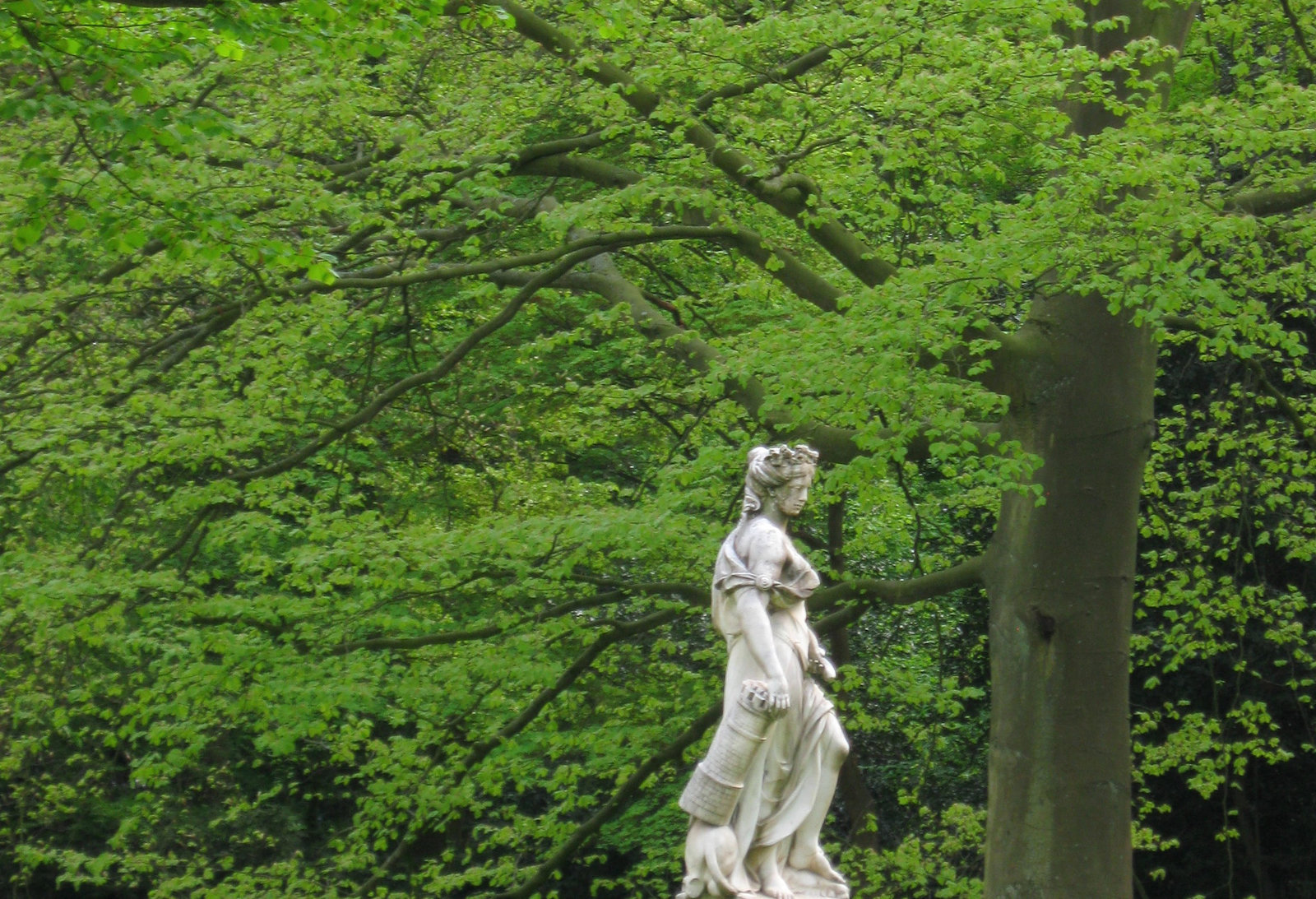 Walk in the Park