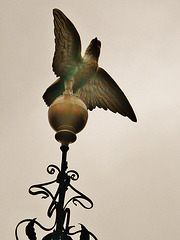 eagle on the eagle tavern, city rd., hackney, london