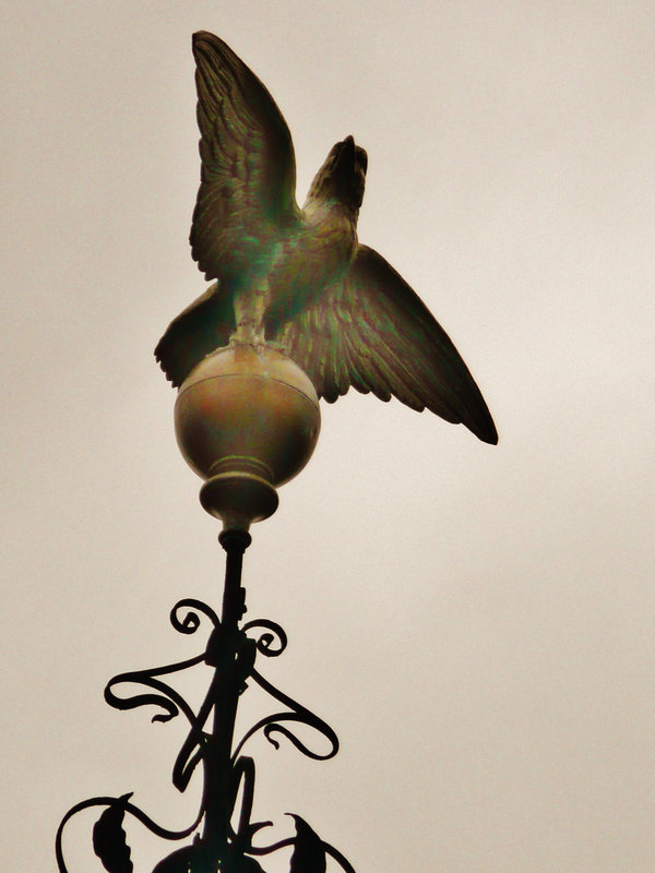eagle on the eagle tavern, city rd., hackney, london