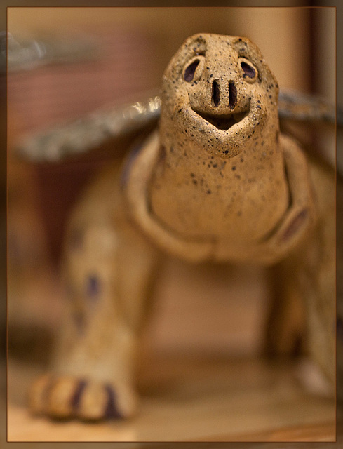 Jan Lacy: Joyful Turtle with Bokeh