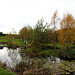 Autumn in the Pond Garden series 5117469973 o