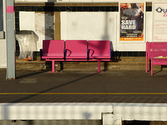 Pink seats