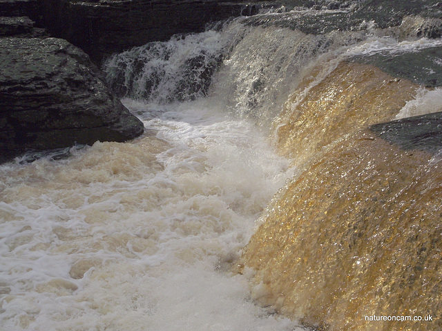 Aysgarth Falls