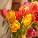 Tankard of tulips 3595116264 o