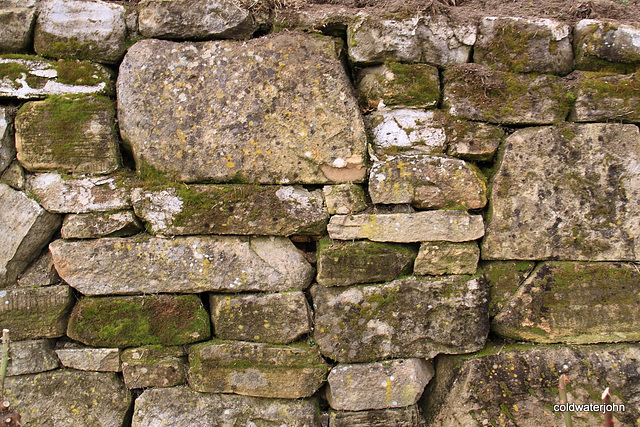 Drystone Dyke with algae ~001 Drystone Dyke with algae ~001