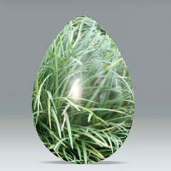 Easter Grass. . .