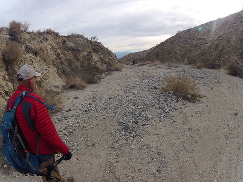 Long Canyon (41786)